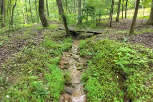 430 Chestnut Ridge, Blue Ridge, GA 30513 - Photo 38