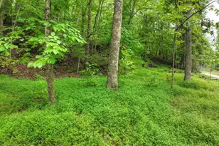 430 Chestnut Ridge, Blue Ridge, GA 30513 - Photo 18