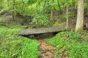 430 Chestnut Ridge, Blue Ridge, GA 30513 - Photo 6