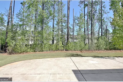 352 Elkins Place, Peachtree City, GA 30269 - Photo 54