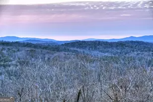 415 Green Ridge Trail, Blue Ridge, GA 30513 - Photo 44