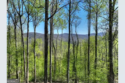 1831 Walnut Ridge, Ellijay, GA 30536 - Photo 40