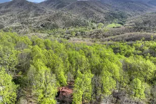 1831 Walnut Ridge, Ellijay, GA 30536 - Photo 48