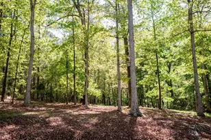 1020 Greenwood Dr, Watkinsville, GA 30677 - Photo 44