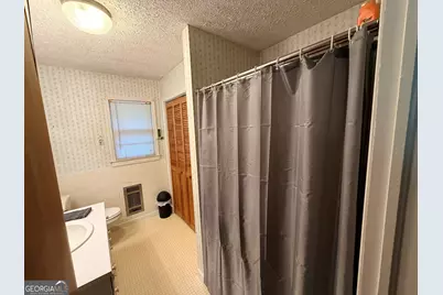 177 Marvin Miles Road, Clermont, GA 30527 - Photo 22