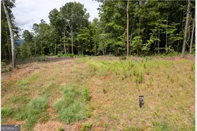Lot 315 Pebble Trace #315, Talking Rock, GA 30175 - Photo 2