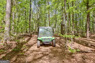 404 Tranquil Cemetary Rd, Senoia, GA 30276 - Photo 12
