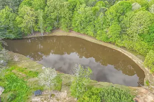 404 Tranquil Cemetary Rd, Senoia, GA 30276 - Photo 52