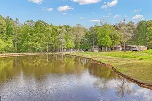 404 Tranquil Cemetary Rd, Senoia, GA 30276 - Photo 46