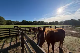 3052 Damascus, Baldwin, GA 30511 - Photo 30