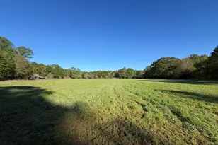 3052 Damascus, Baldwin, GA 30511 - Photo 40