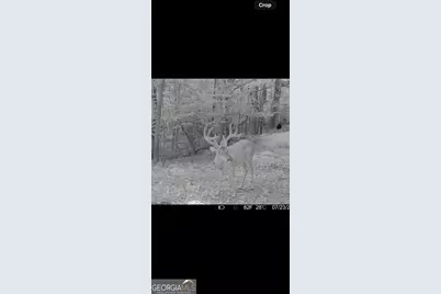 0 Creekview Drive, Madison, GA 30650 - Photo 14