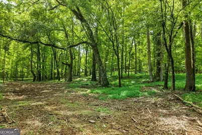 0 Creekview Drive, Madison, GA 30650 - Photo 4