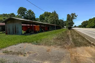 227 South Parrott, Parrott, GA 39877 - Photo 8