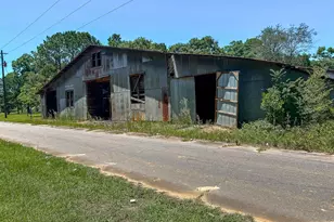 227 South Parrott, Parrott, GA 39877 - Photo 2