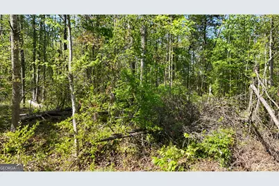 0 Holcomb North Drive, Martin, GA 30557 - Photo 4