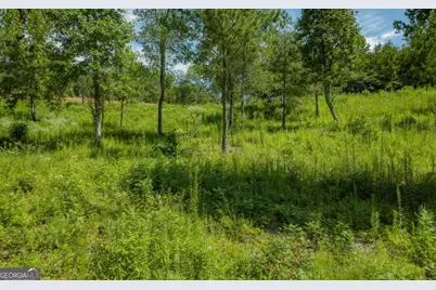 Lt 26 Arbor Creek Trail #26, Mineral Bluff, GA 30559 - Photo 4