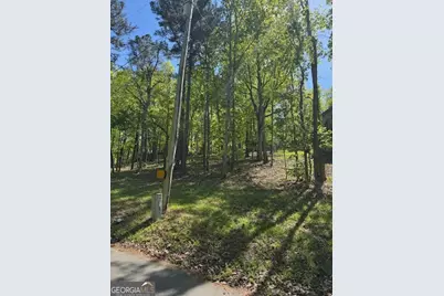 Lot 40 Royal Lodge Estates, Pine Mountain, GA 31822 - Photo 1