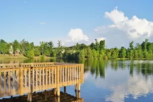 151 Lake Forest Dr, Newnan, GA 30265 - Photo 106