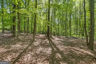 160 Kingswood Dr, Fayetteville, GA 30215 - Photo 70