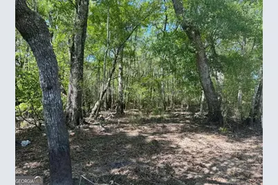 0 Lewis Landing, Nahunta, GA 31553 - Photo 1