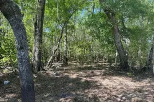 0 Lewis Landing, Nahunta, GA 31553 - Photo 1