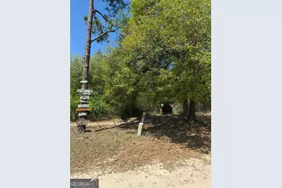 0 Lewis Landing, Nahunta, GA 31553 - Photo 6