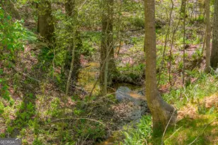 1715 Faye Carey Rd, Danielsville, GA 30633 - Photo 44