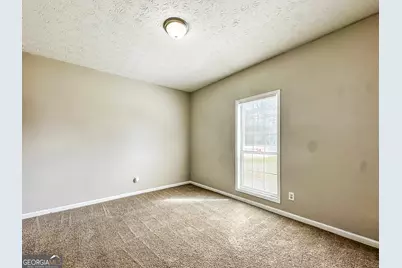 11647 Matthews Trail, Hampton, GA 30228 - Photo 14