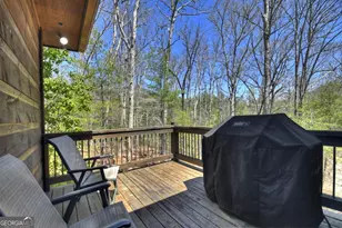 366 Shepherds Way, Morganton, GA 30560 - Photo 20