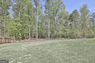 160 Lapis Lake Pt, Fayetteville, GA 30215 - Photo 48