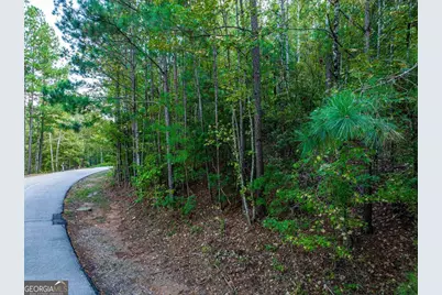 0 Snug Harbor Drive, Greensboro, GA 30642 - Photo 16