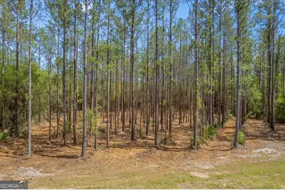Lot 22 Heritage Way, Hortense, GA 31543 - Photo 4