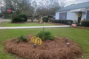 30 S McCrorie St, Baxley, GA 31513 - Photo 22