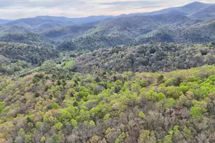 8528 Soapstone Creek Trail, Hiawassee, GA 30546 - Photo 72