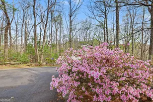 8528 Soapstone Creek Trail, Hiawassee, GA 30546 - Photo 60