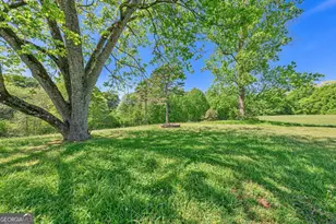 6351 Hwy 17, Canon, GA 30520 - Photo 30