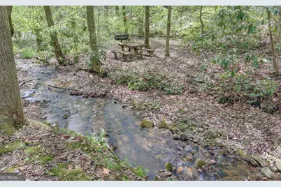 761 Clayton Gooch Road, Dahlonega, GA 30533 - Photo 8