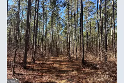 0 Farmington Road, Watkinsville, GA 30677 - Photo 14