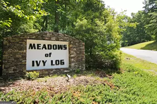 Lot 40 Ivy Meadow Ln, Blairsville, GA 30512 - Photo 1