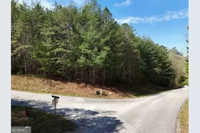 Lot 40 Ivy Meadow Lane, Blairsville, GA 30512 - Photo 6