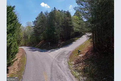 Lot 40 Ivy Meadow Lane, Blairsville, GA 30512 - Photo 4
