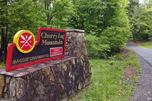 73 Rosiey Ln, Blue Ridge, GA 30513 - Photo 50