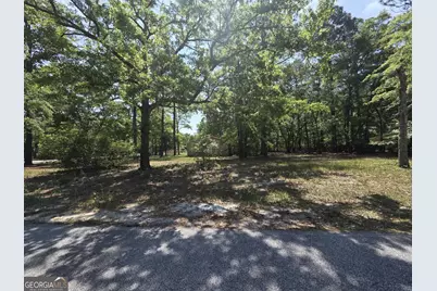 219 Surrey Road, Hinesville, GA 31313 - Photo 12