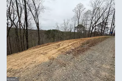 135 Flat Ridge Road, Ellijay, GA 30540 - Photo 6