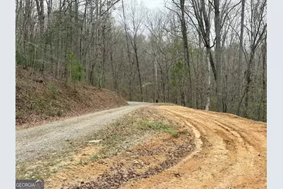 135 Flat Ridge Road, Ellijay, GA 30540 - Photo 4
