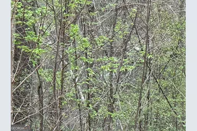135 Flat Ridge Road, Ellijay, GA 30540 - Photo 14