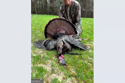 0 Wainwright Road, Butler, GA 31006 - Photo 54