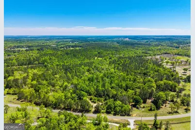 0 Wainwright Road, Butler, GA 31006 - Photo 4