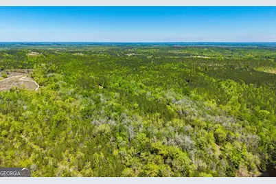 0 Wainwright Road, Butler, GA 31006 - Photo 8